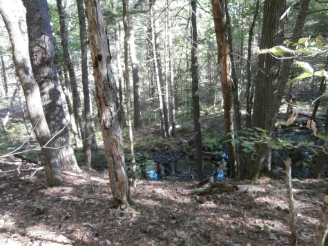 155 Quarry Road Limerick ME 04001