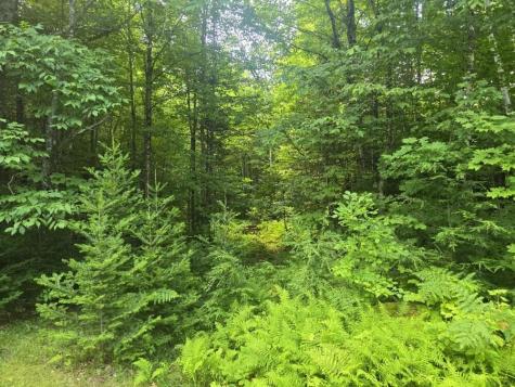 164 Clearwater Road New Sharon ME 04955