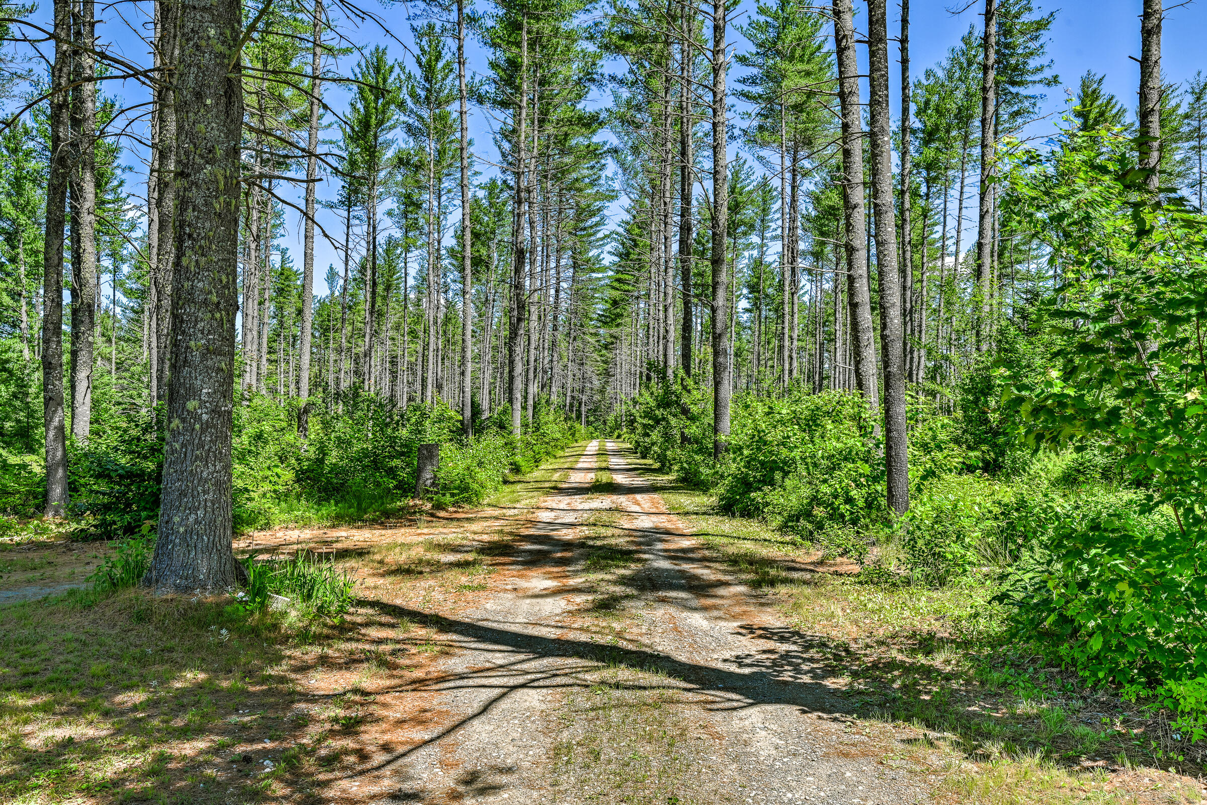 890 Salem Road Freeman Twp ME 04983