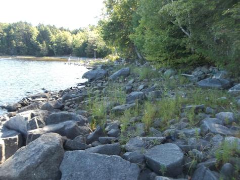 22 S Kennedy Boulevard East Machias ME 04630