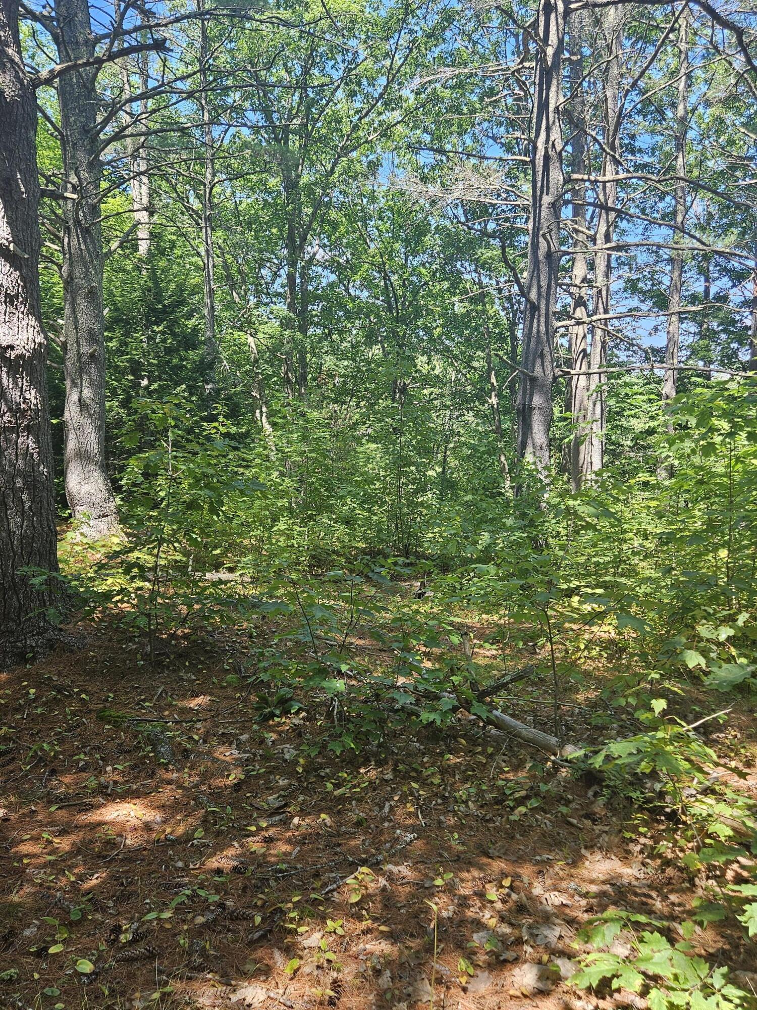 188 Old Chadbourne Road Lewiston ME 04240