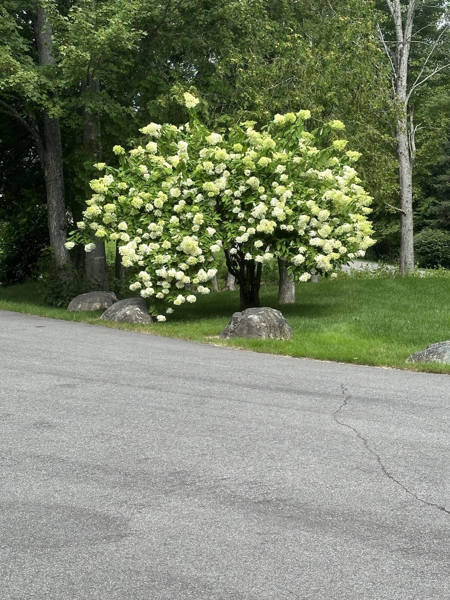 101 Trillium Trail Trail Bangor, ME