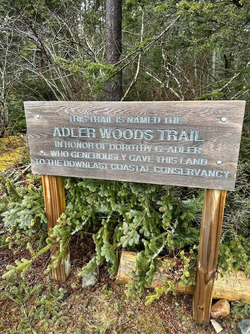 29 Wohoa Bay Drive Addison ME 04606