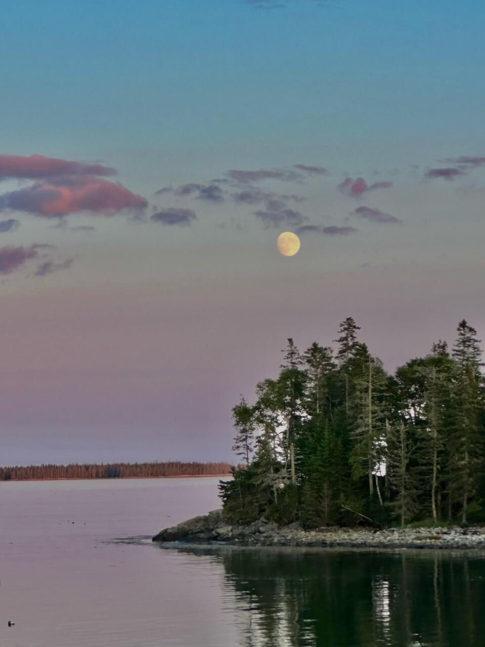 29 Wohoa Bay Drive Addison ME 04606