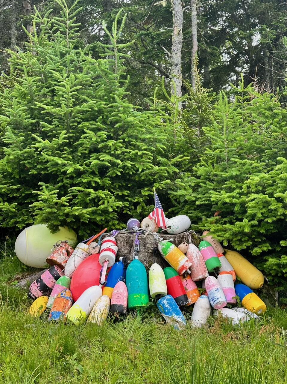 29 Wohoa Bay Drive Addison ME 04606