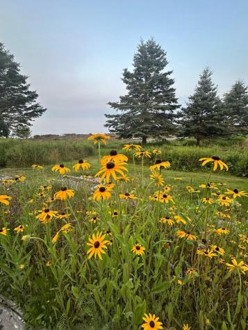 29 Wohoa Bay Drive Addison ME 04606