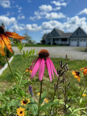 29 Wohoa Bay Drive Addison ME 04606