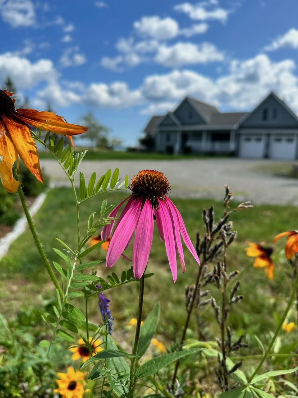 29 Wohoa Bay Drive Addison ME 04606