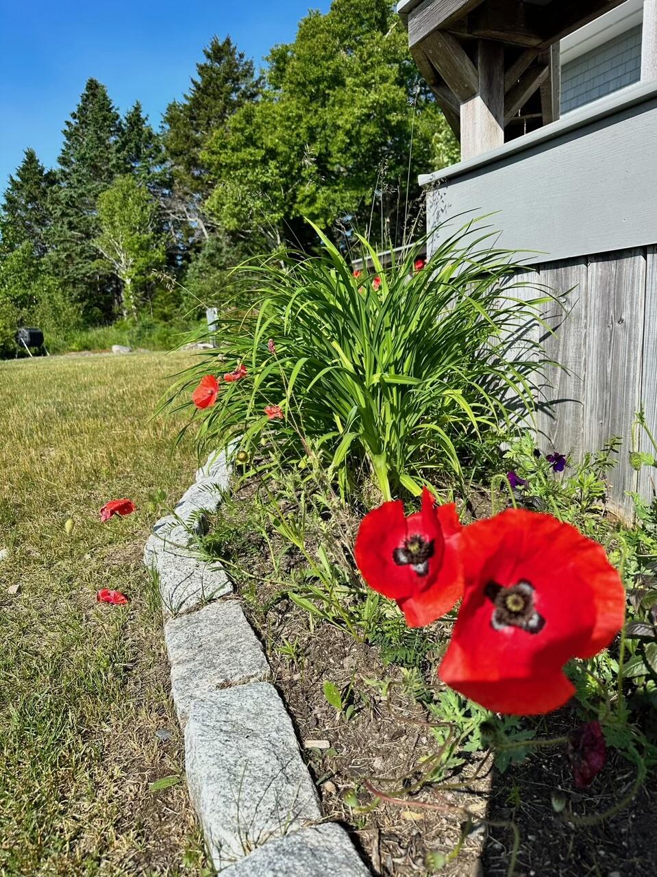 29 Wohoa Bay Drive Addison ME 04606