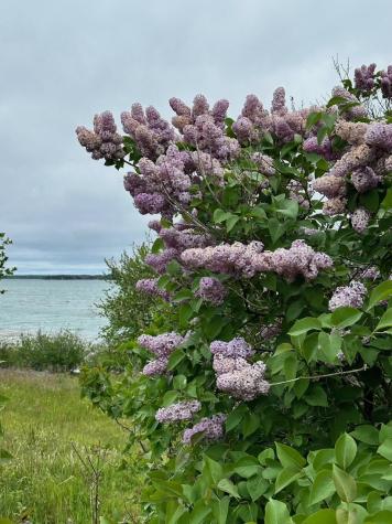 29 Wohoa Bay Drive Addison ME 04606