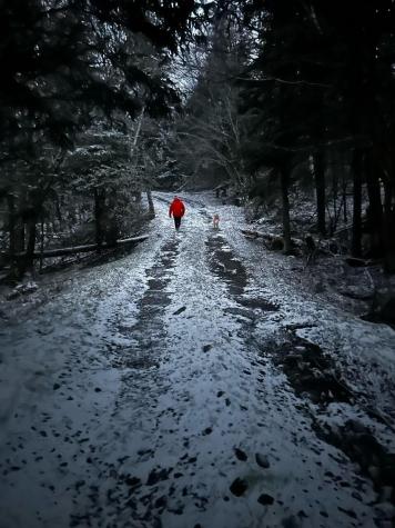 29 Wohoa Bay Drive Addison ME 04606