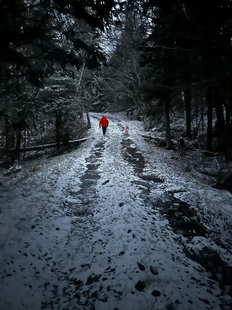 29 Wohoa Bay Drive Addison ME 04606