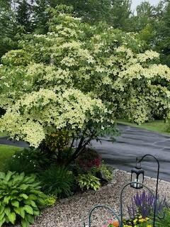 39 Pine Knoll Drive Durham ME 04222