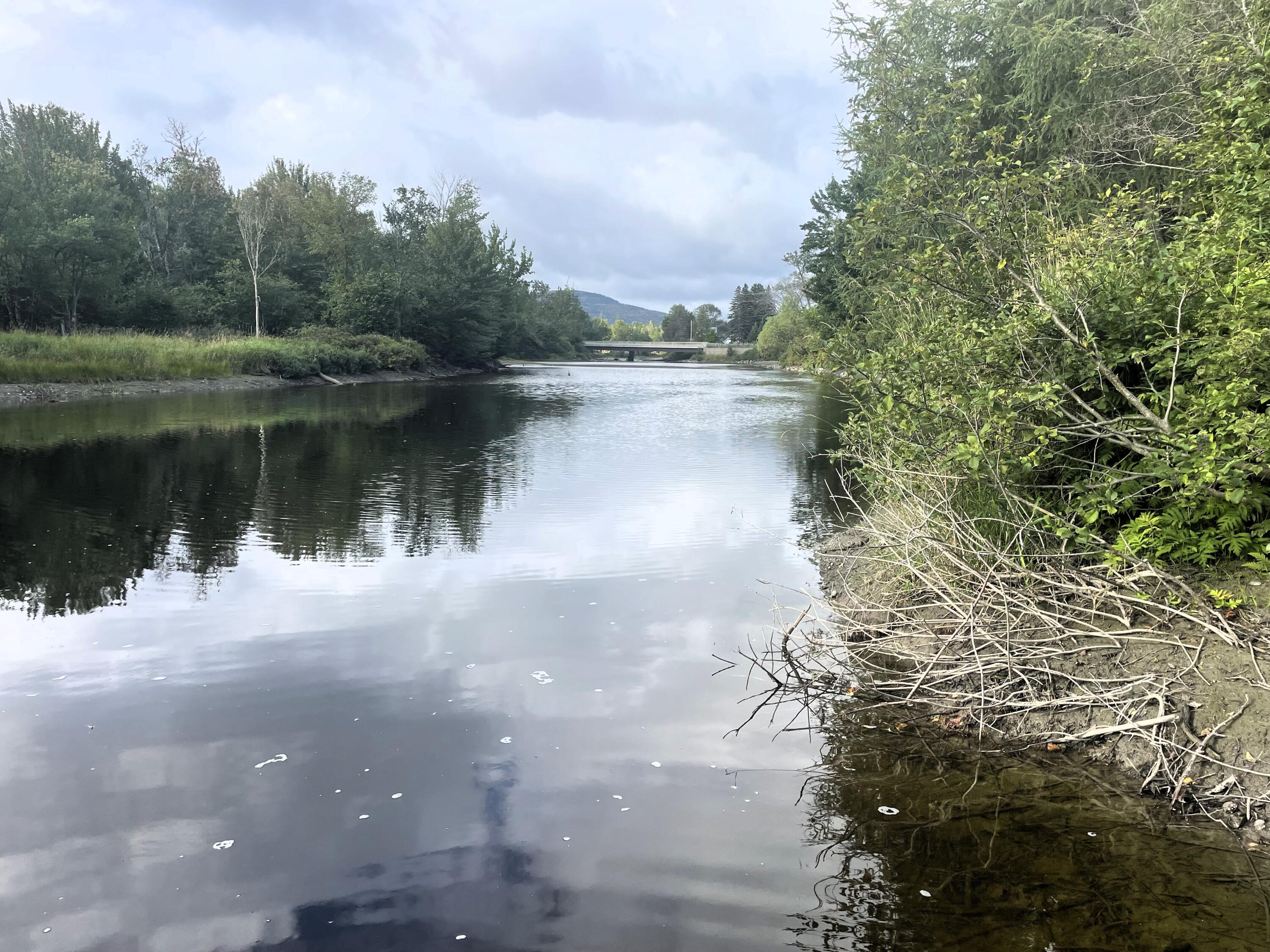 5 Heald Stream Road Jackman ME 04945