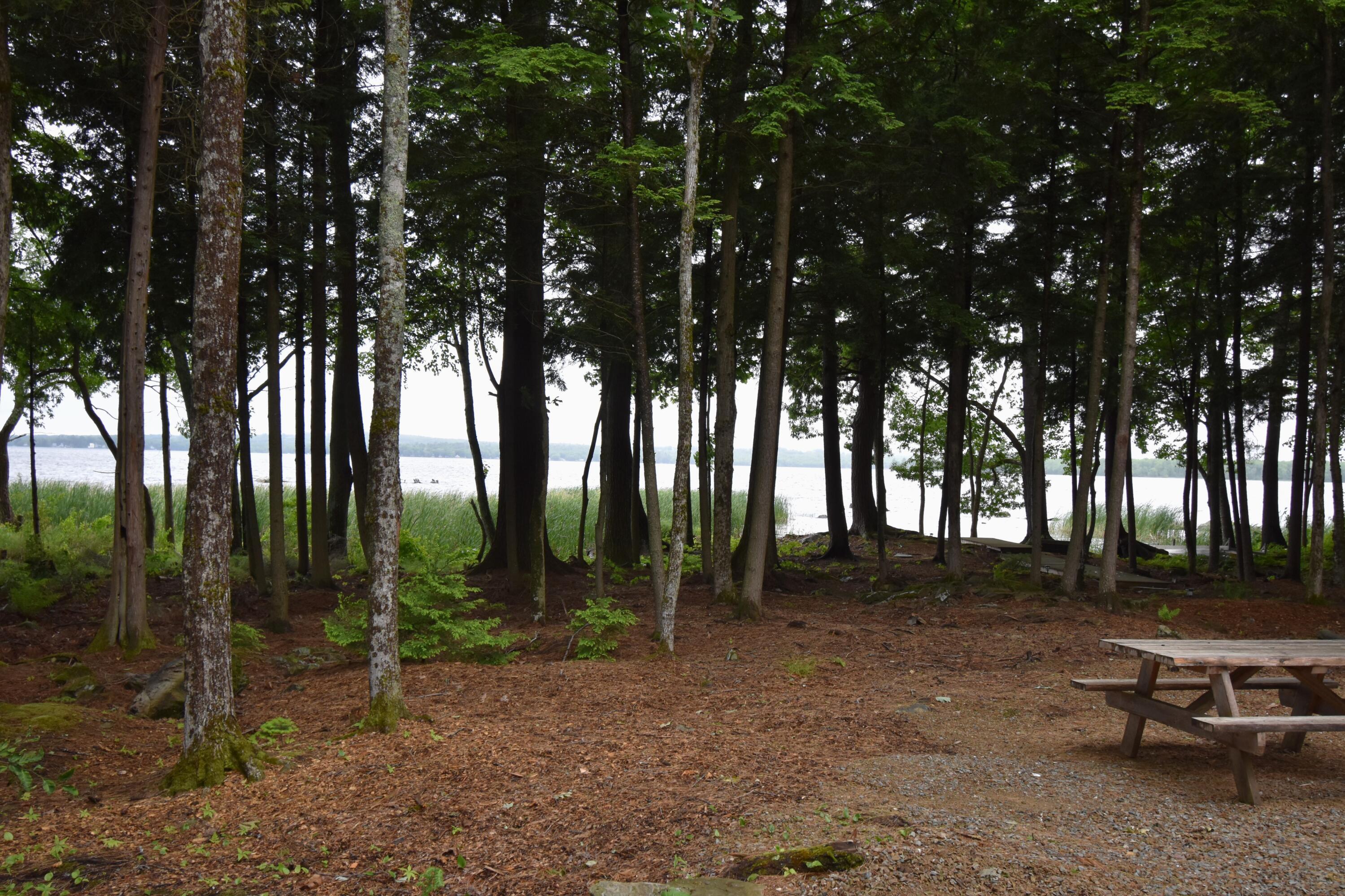 107 Shady Lane Newport ME 04953