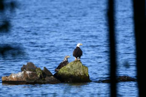 107 Shady Lane Newport ME 04953