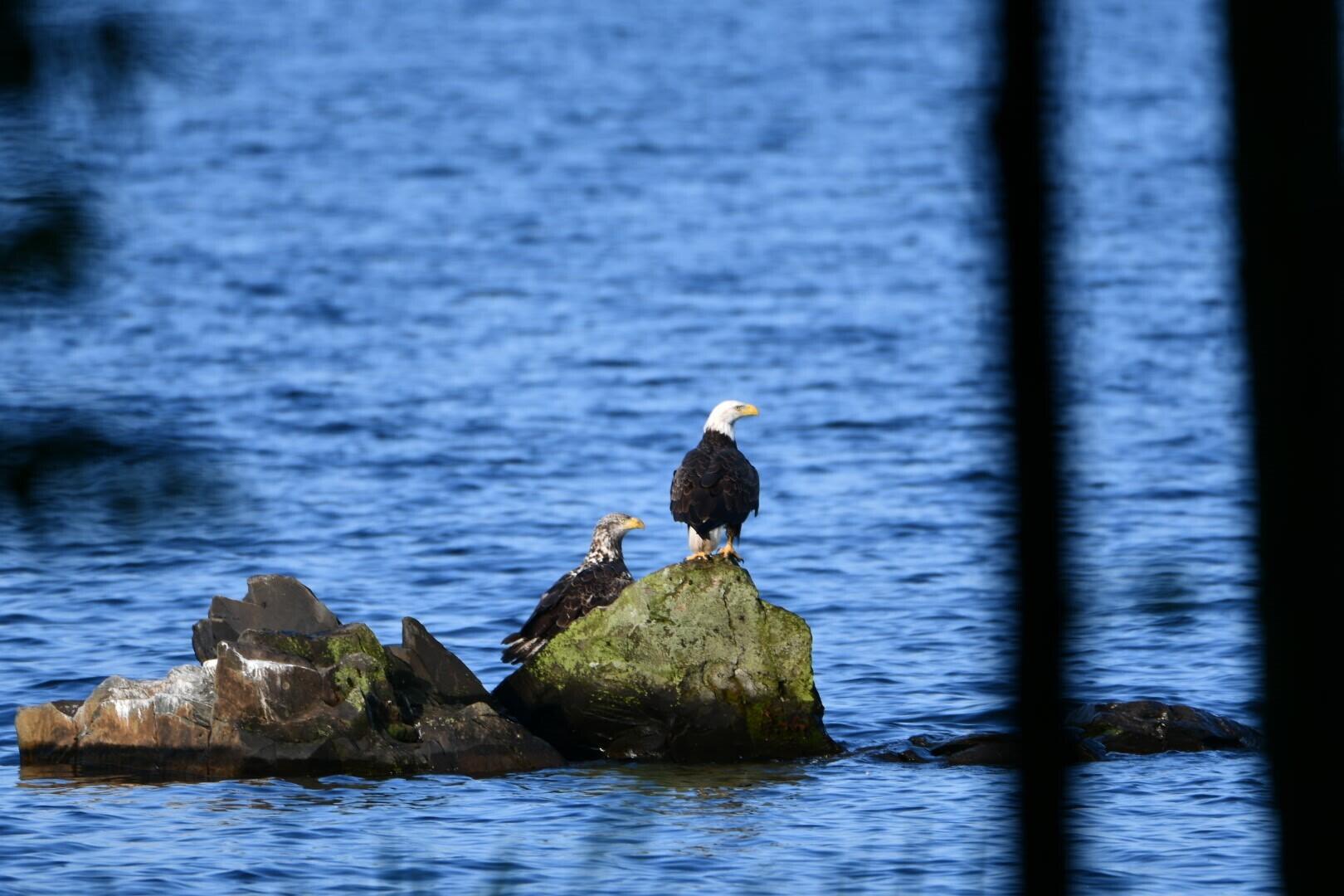 107 Shady Lane Newport ME 04953