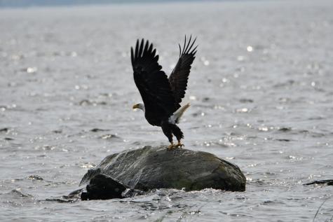 107 Shady Lane Newport ME 04953