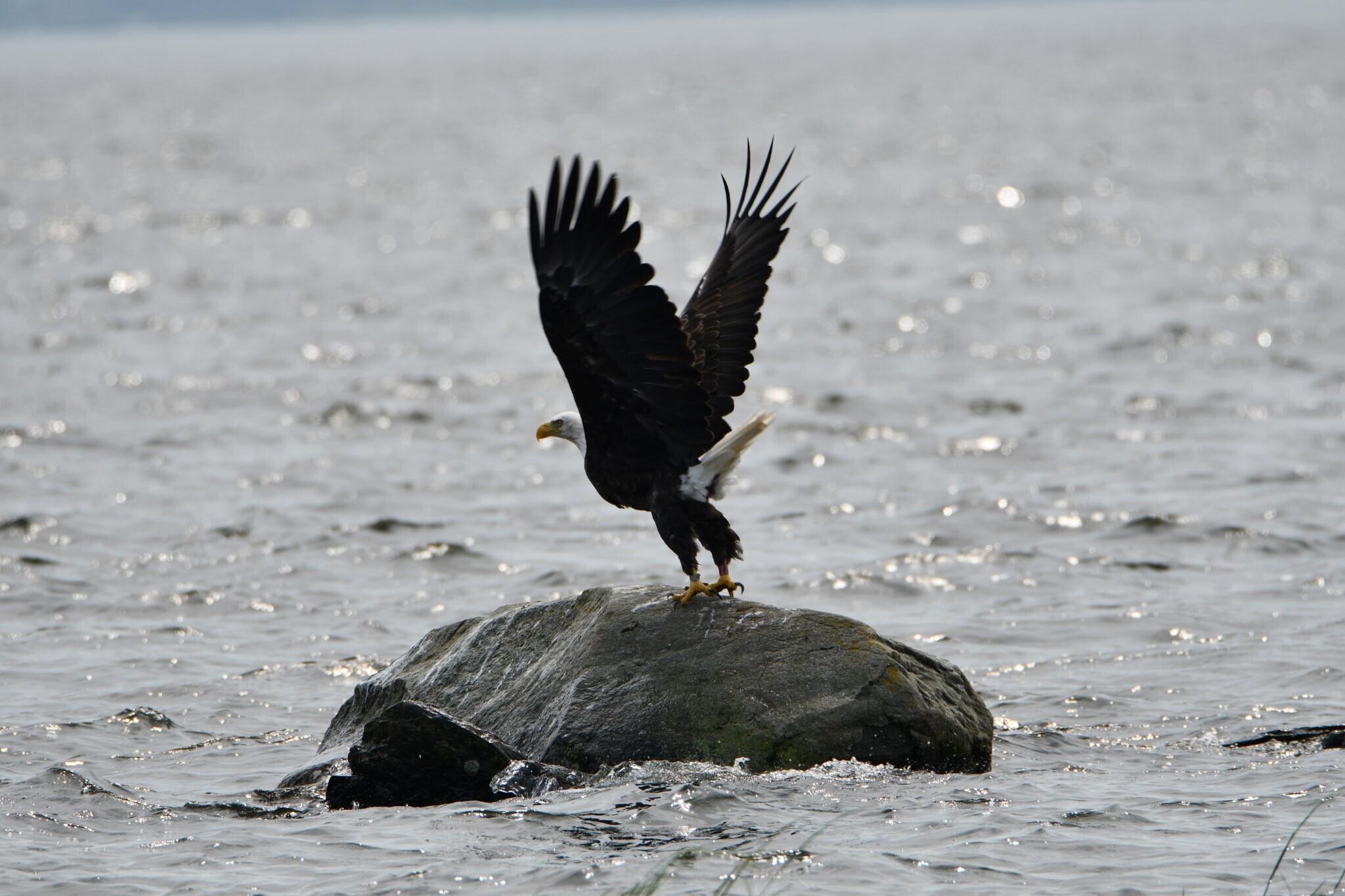 107 Shady Lane Newport ME 04953