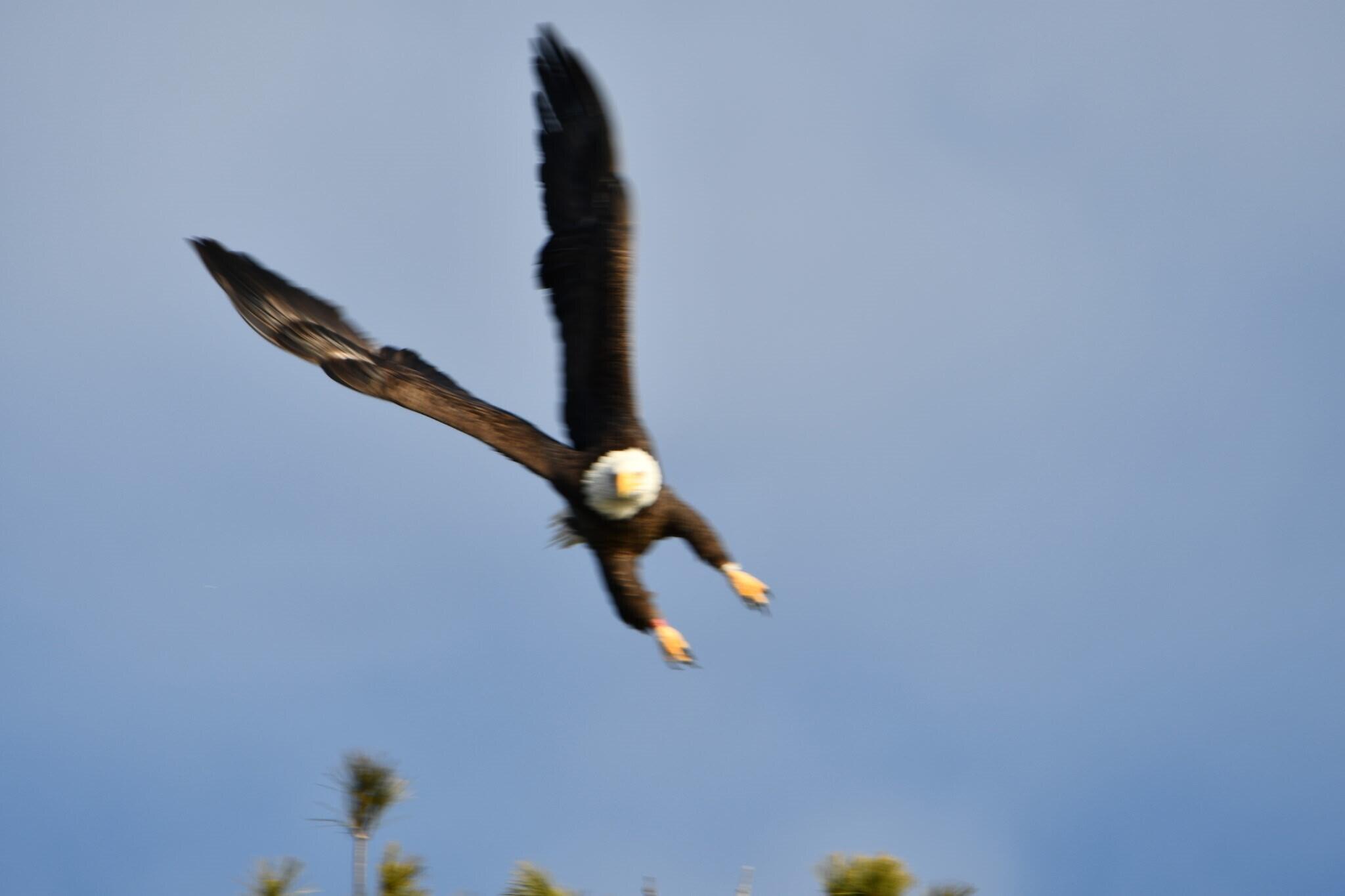 107 Shady Lane Newport ME 04953