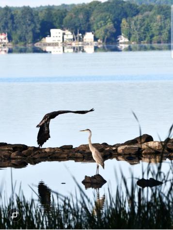 107 Shady Lane Newport ME 04953