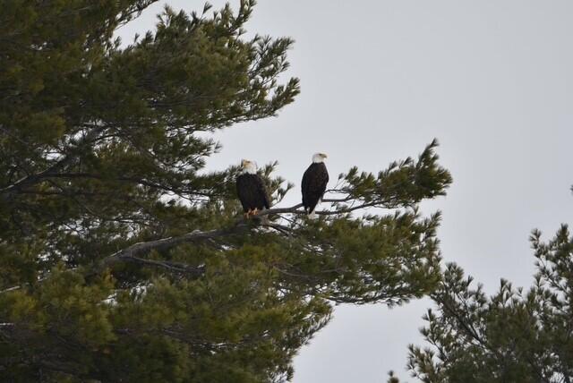 107 Shady Lane Newport ME 04953