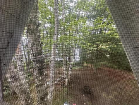 32 Dinsmore Lane Whiting ME 04691