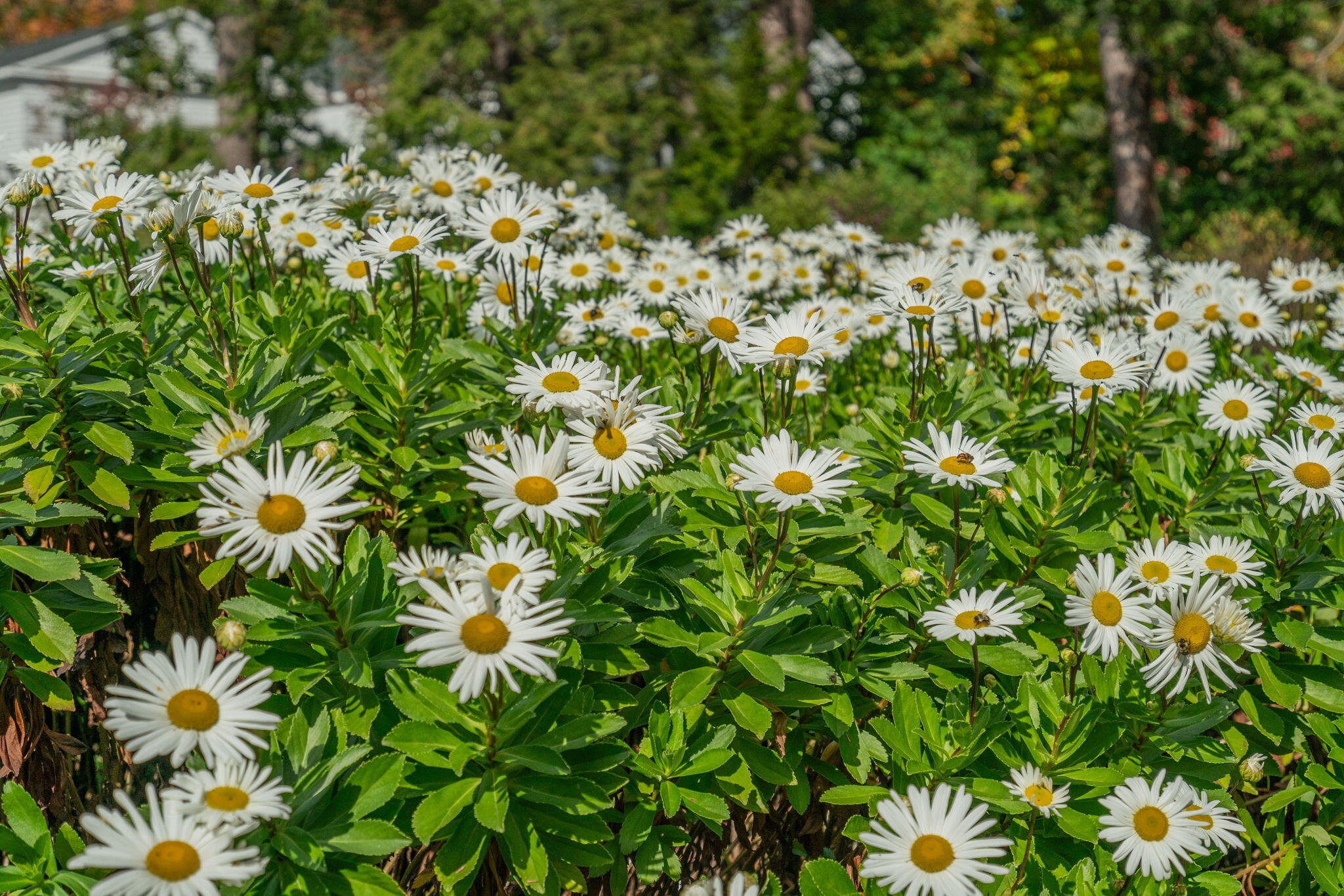 338 Foreside Road Falmouth ME 04105