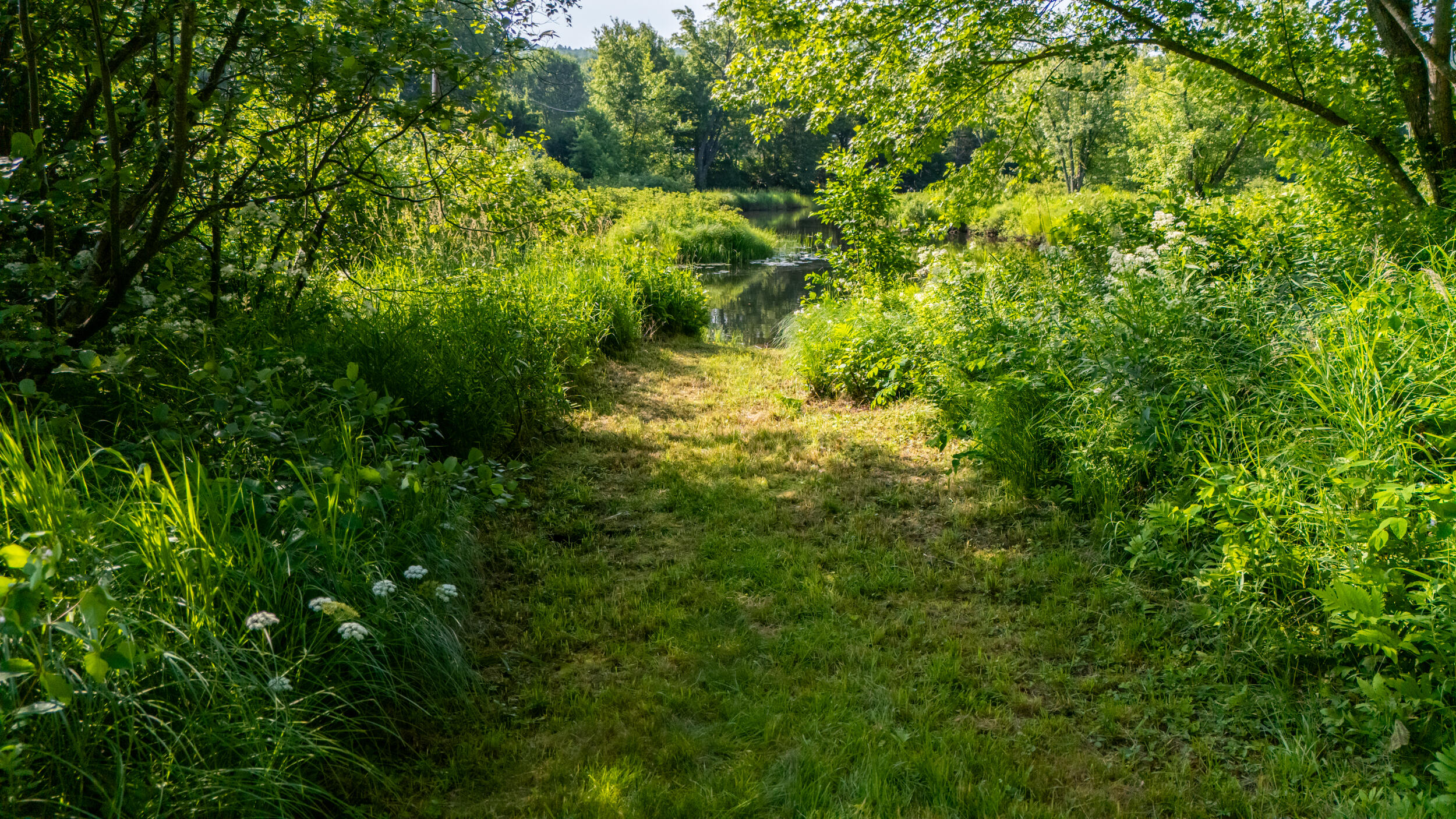 266 Pond Brook Road Magalloway Plt ME 04970