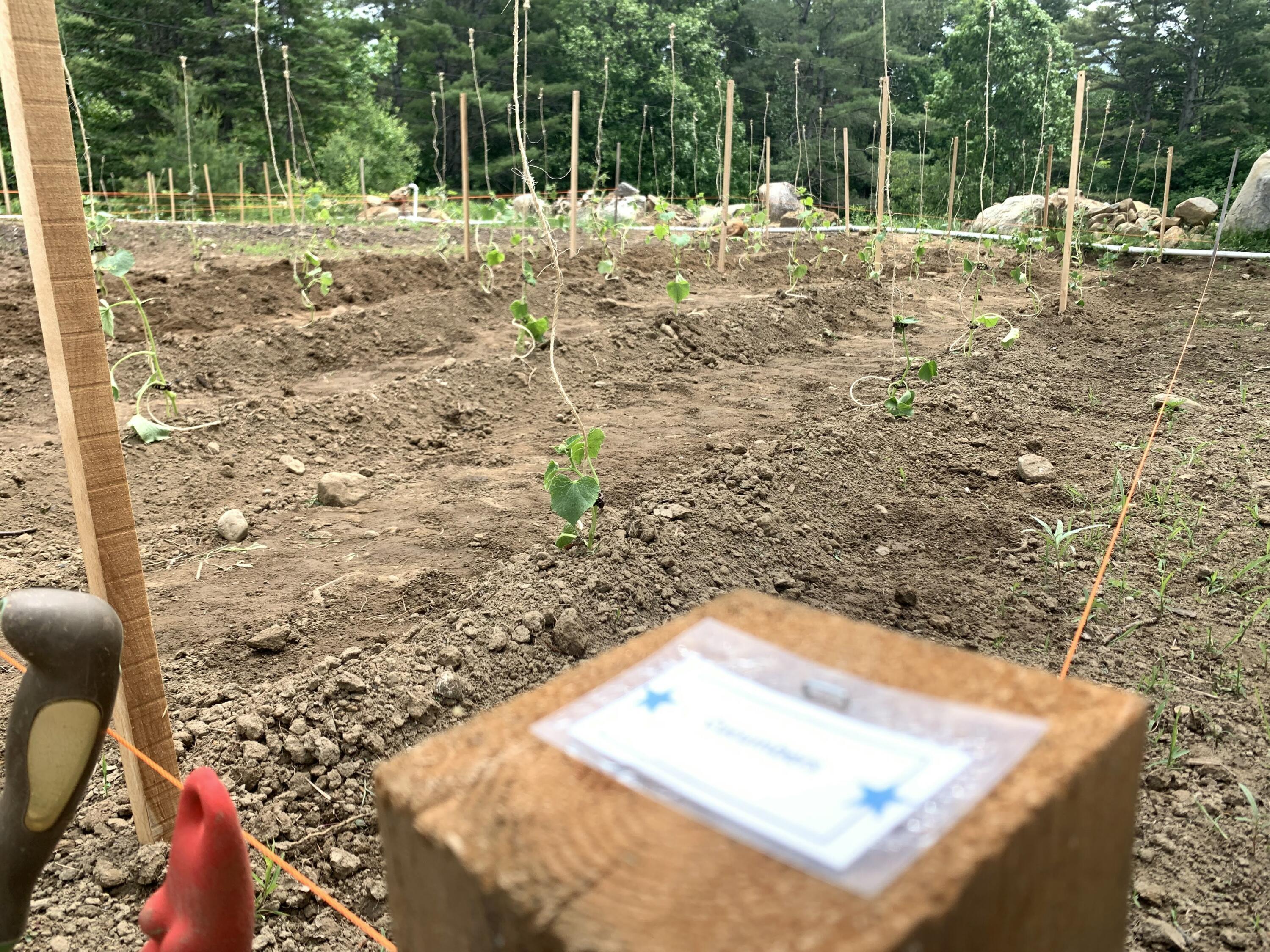 286 Lexington Road Kingfield ME 04947