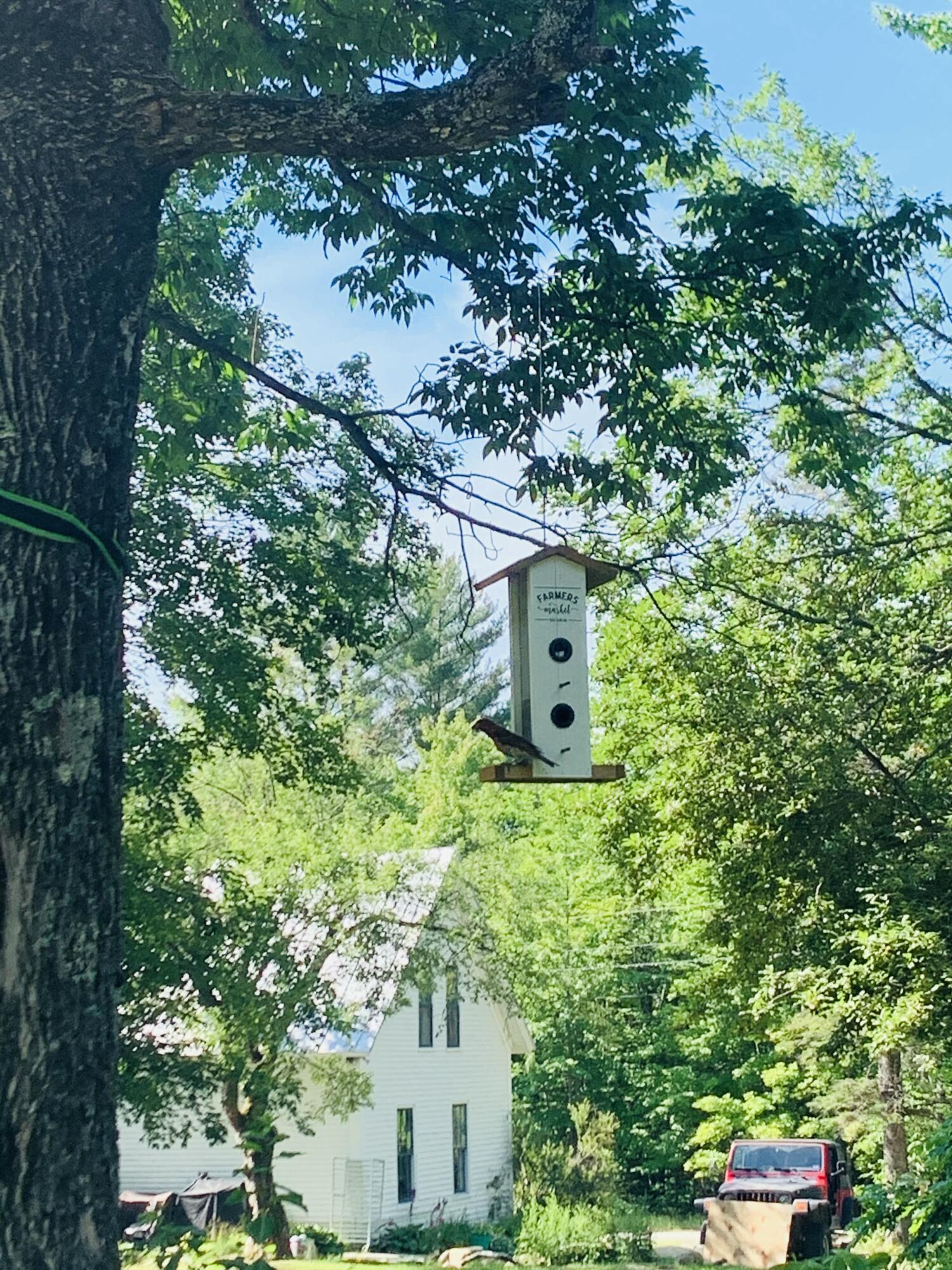 286 Lexington Road Kingfield ME 04947