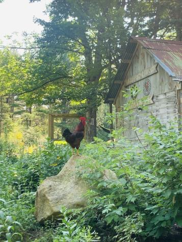 286 Lexington Road Kingfield ME 04947