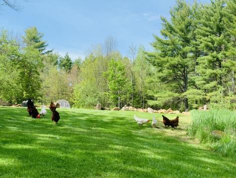 286 Lexington Road Kingfield ME 04947