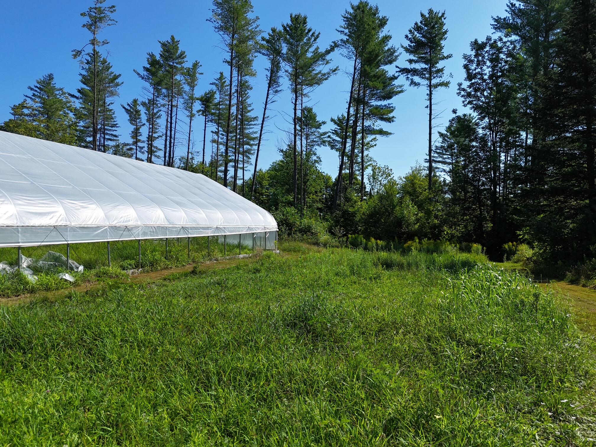 286 Lexington Road Kingfield ME 04947