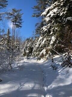 173 Darnit Road Buckfield ME 04220