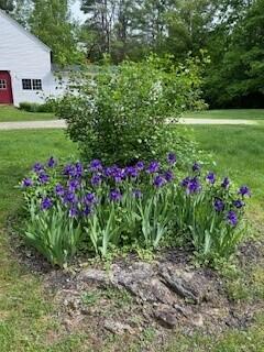 173 Darnit Road Buckfield ME 04220