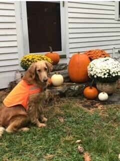 173 Darnit Road Buckfield ME 04220