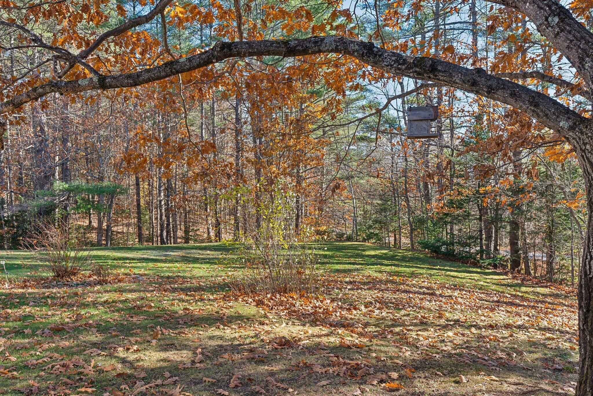 173 Darnit Road Buckfield ME 04220