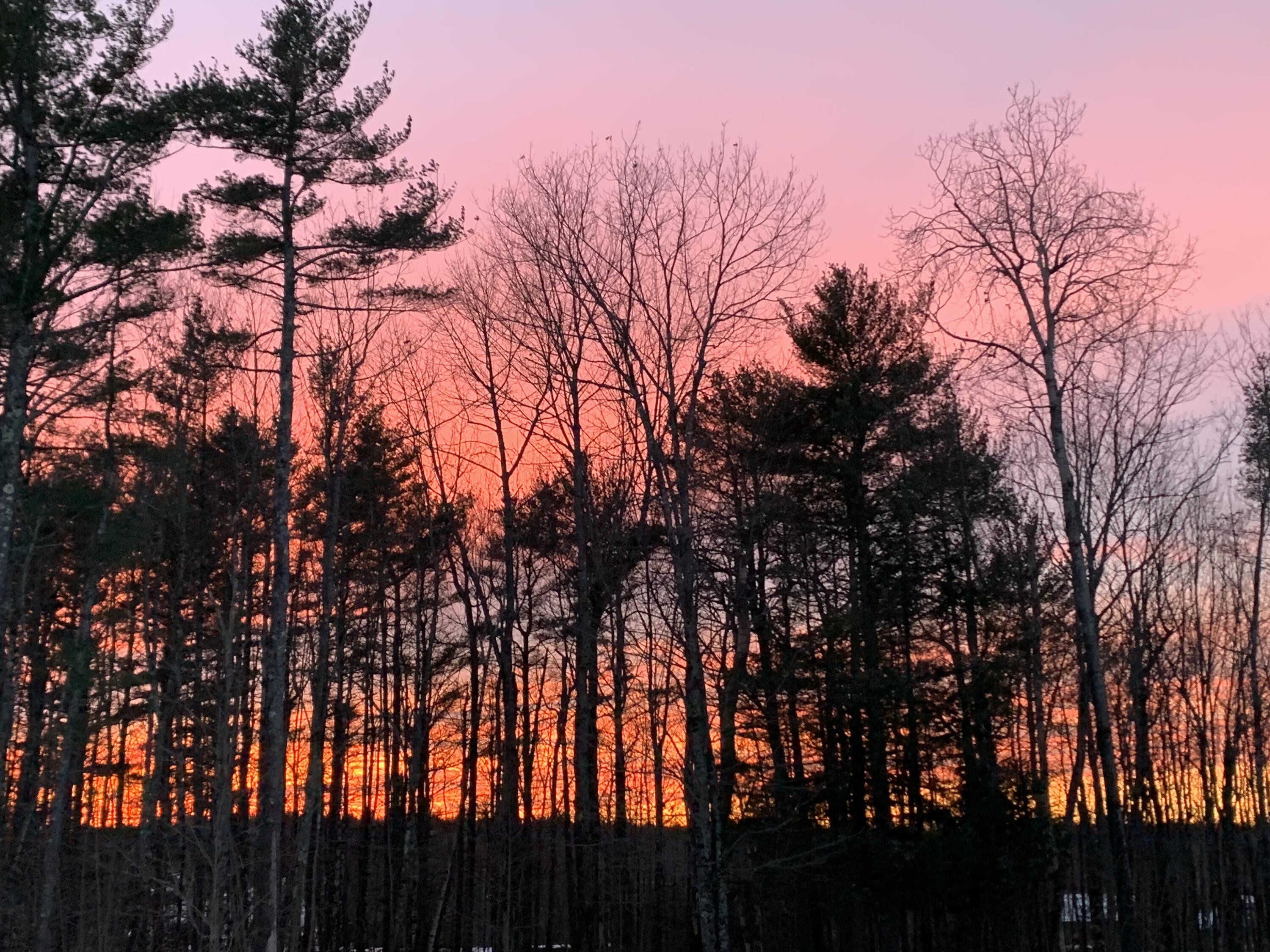 45 Weeks Mills Road China ME 04358