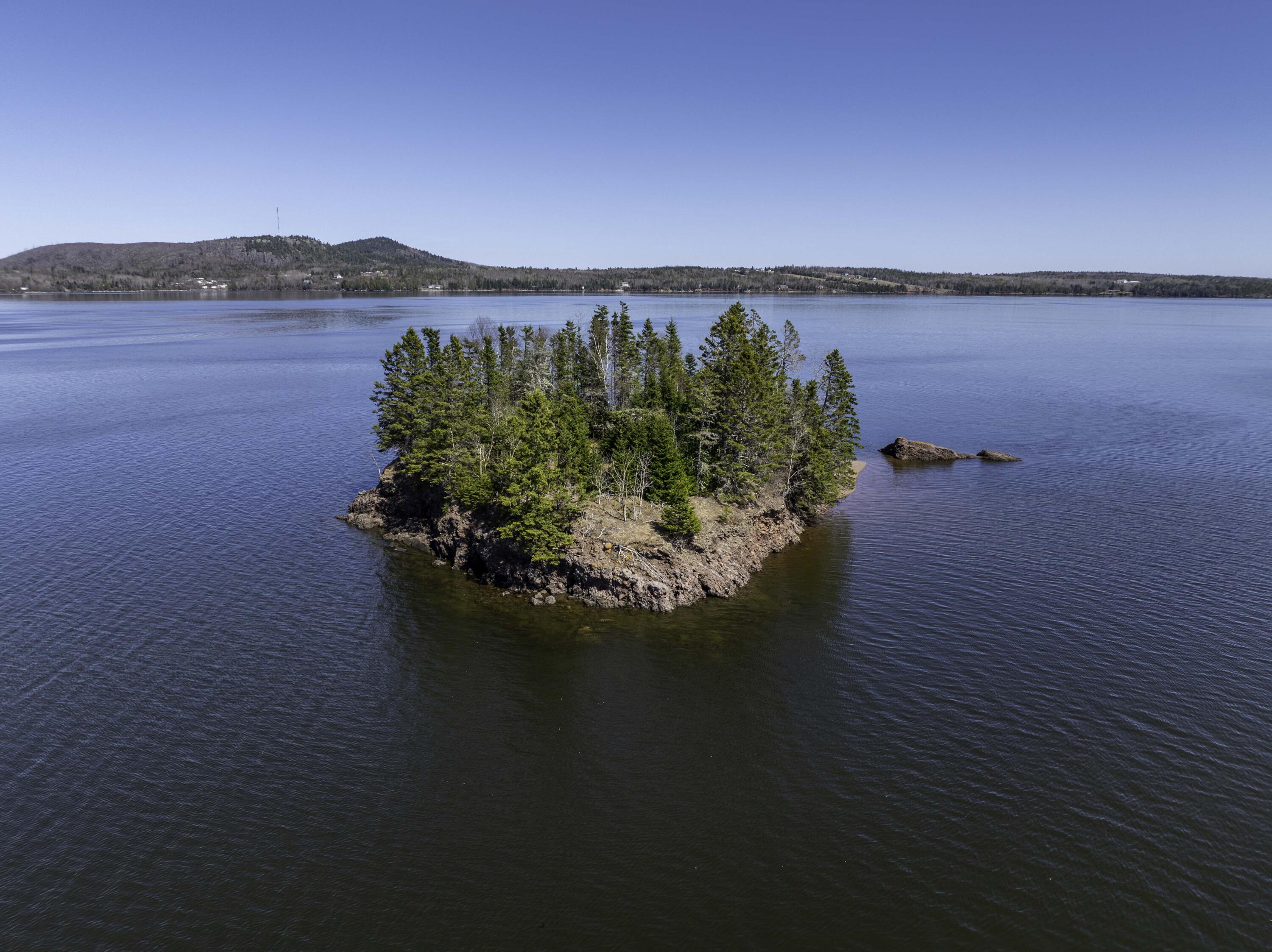 MAP3LOT57 Little Doucet Island Robbinston ME 04671