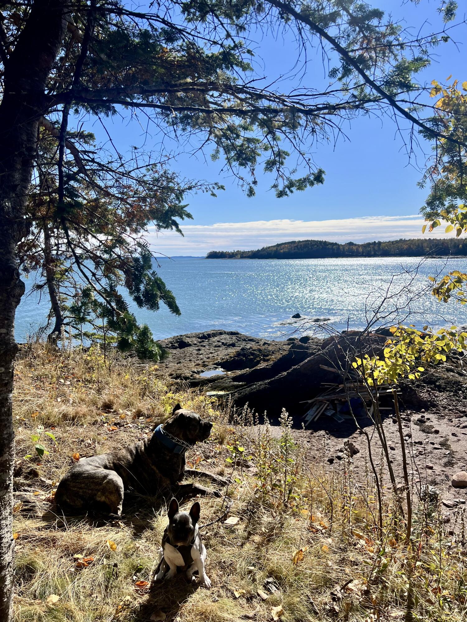 MAP3LOT57 Little Doucet Island Robbinston ME 04671