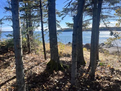 MAP3LOT57 Little Doucet Island Robbinston ME 04671