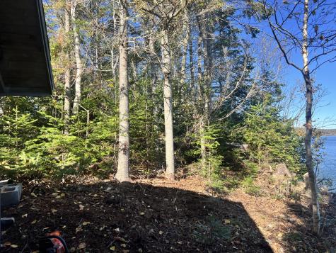 MAP3LOT57 Little Doucet Island Robbinston ME 04671