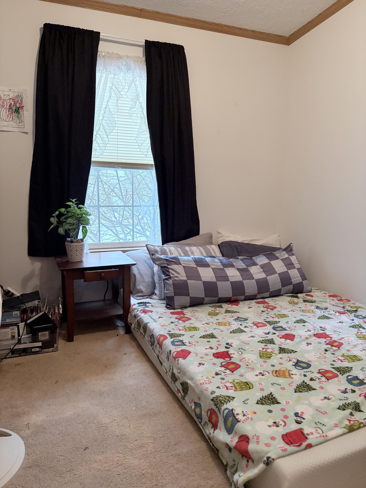 24 Theodore Drive Brunswick ME 04011