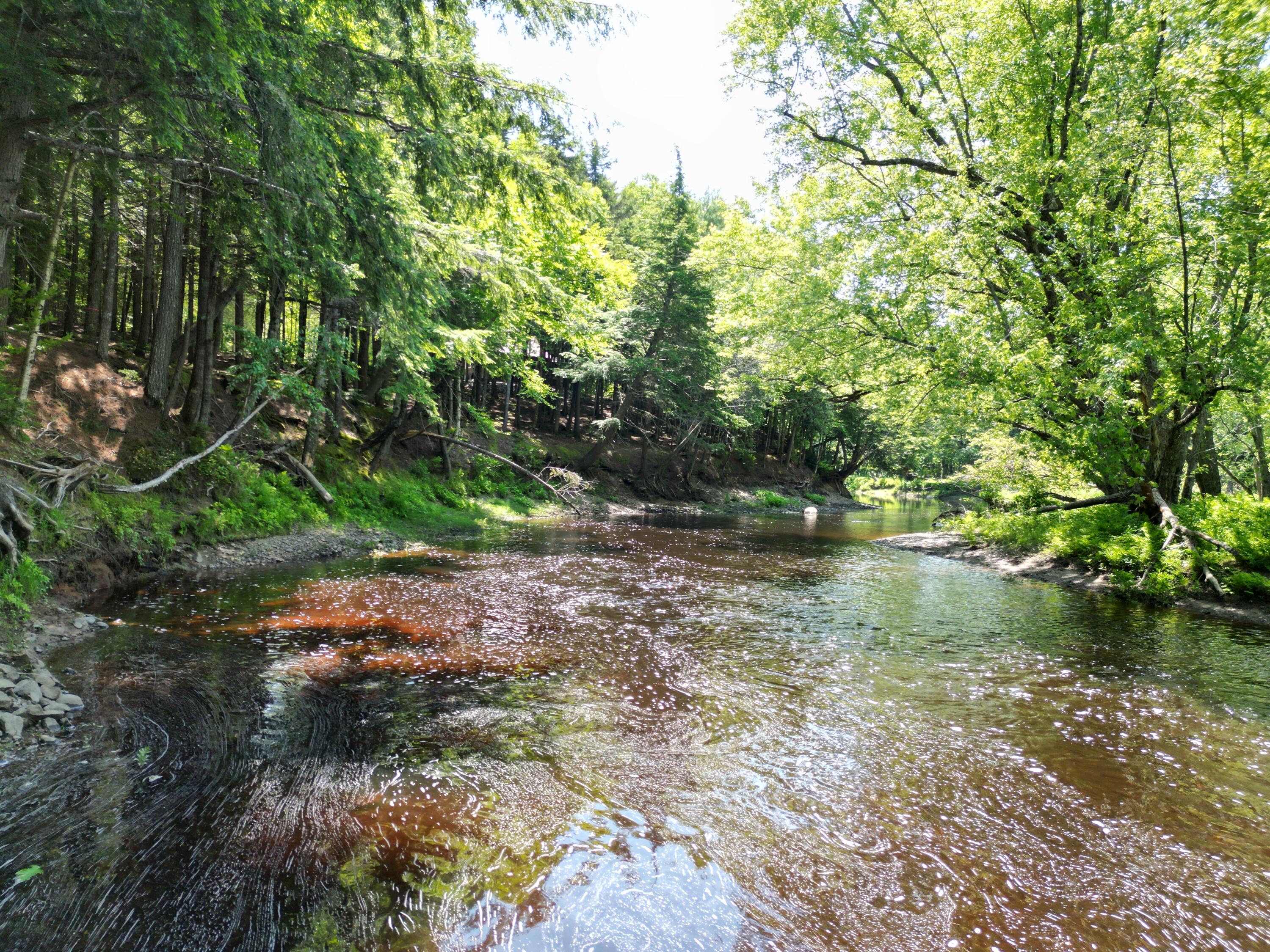 25 Loop Road Chester ME 04457