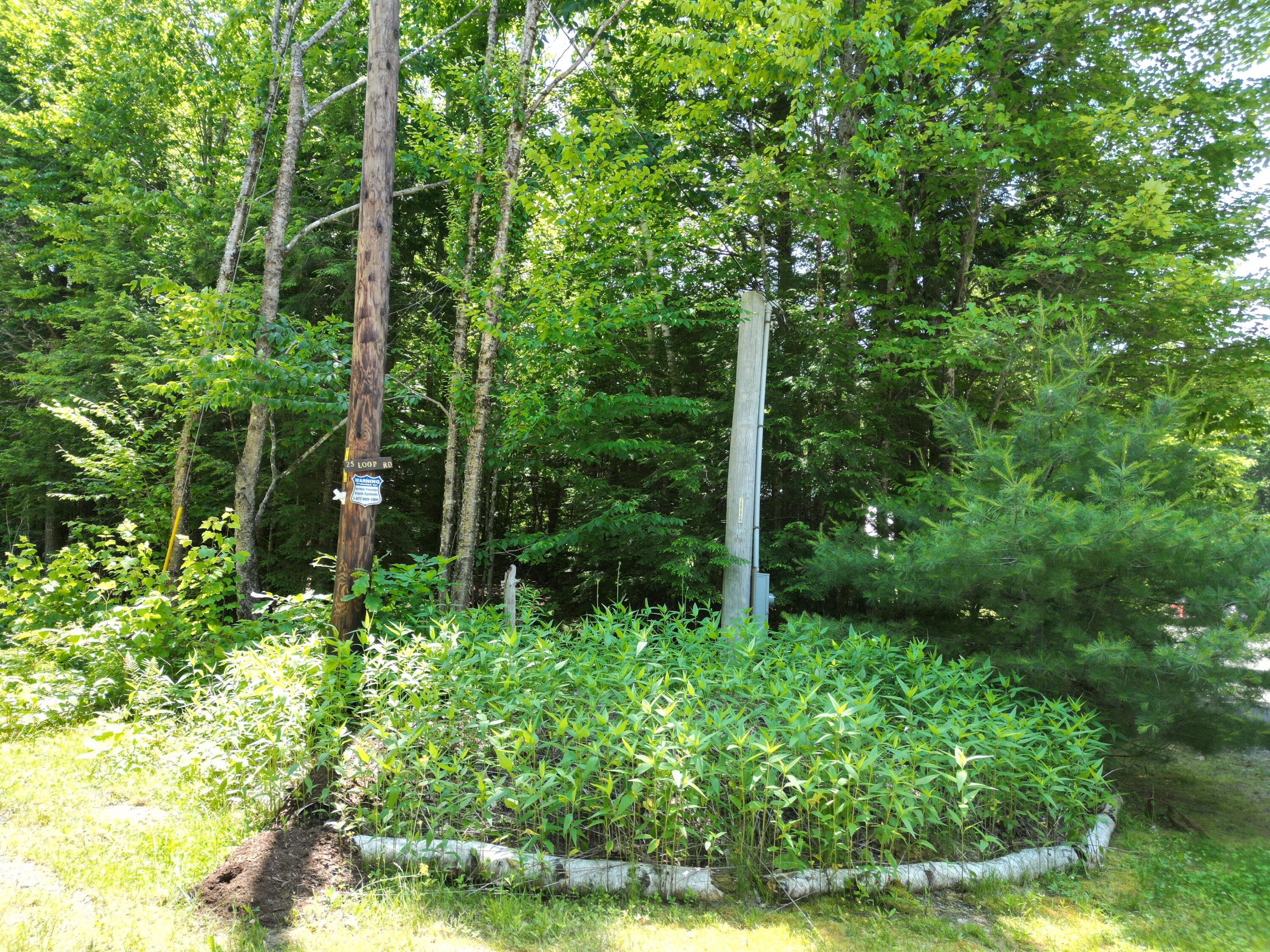 25 Loop Road Chester ME 04457