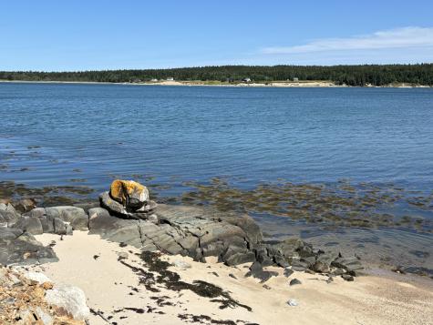 1056 Pigeon Hill Road Steuben ME 04680