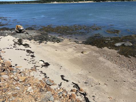 1056 Pigeon Hill Road Steuben ME 04680