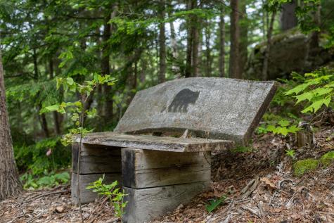 145 Cottage Shore Drive Holden ME 04429