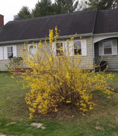 49 Brooks Avenue Lewiston ME 04240